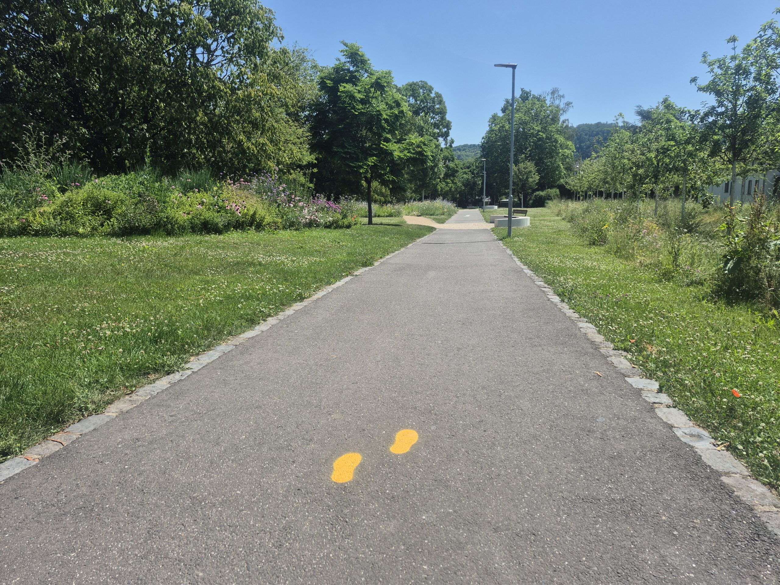 Gelben Füße Neuendorf erneuert